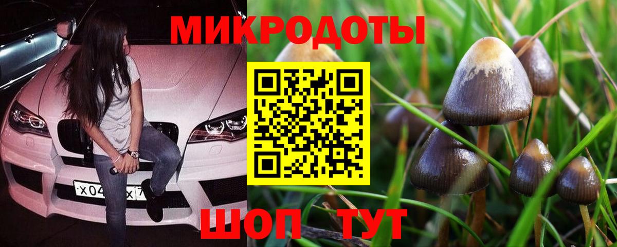 Галлюциногенные грибы мухоморы Отрадный